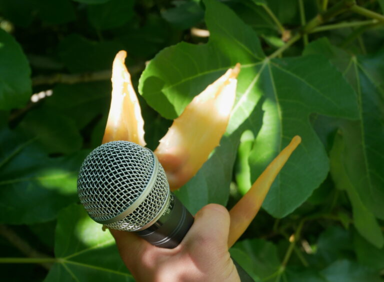 vetusorbia-photojuliettelamas <span></span>