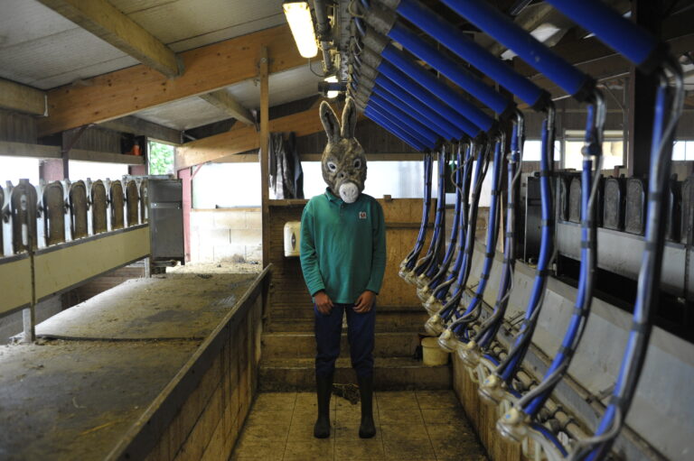 Compagnie Animal Mou <span></span>