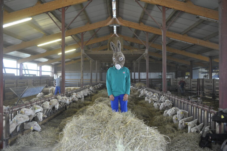 Compagnie Animal Mou <span></span>