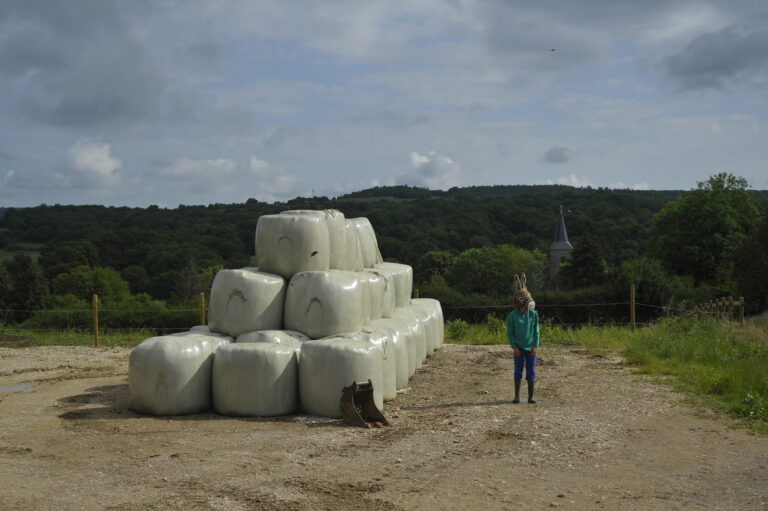 Compagnie Animal Mou <span></span>