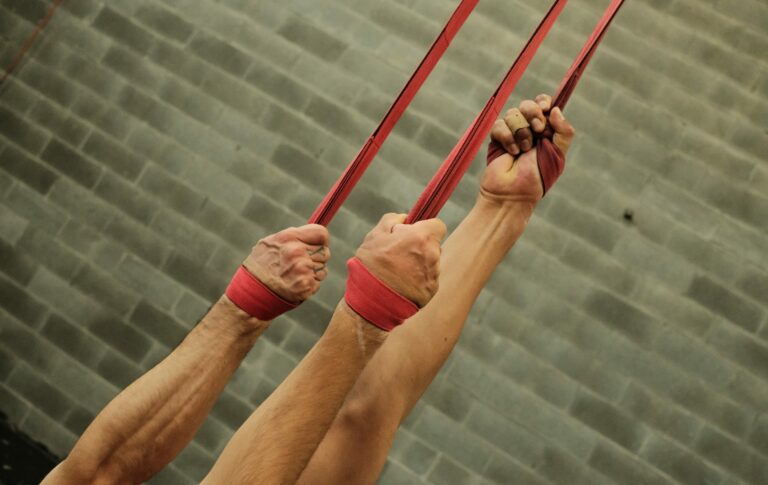 Sangles-QUIMERA-scaled <span></span>